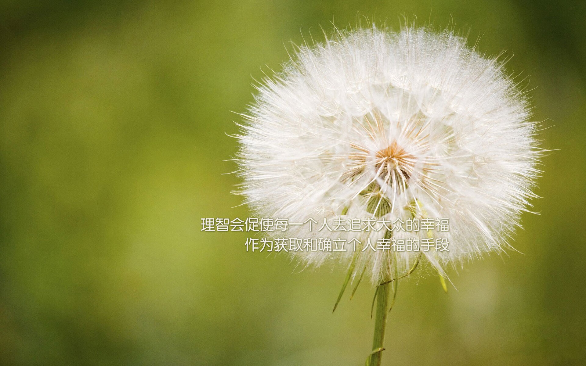 _沙漠越野汽车：掌控荒原的速度与力量_，沙漠越野体验