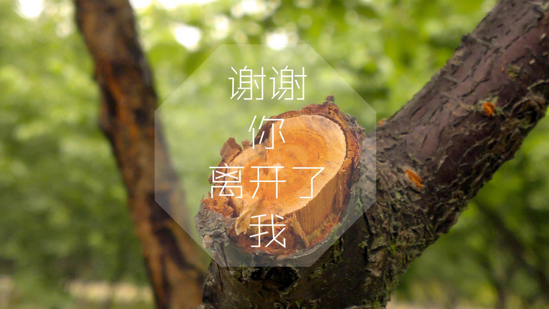 《幕后故事：知名选手的专属训练秘笈》，幕后成员
