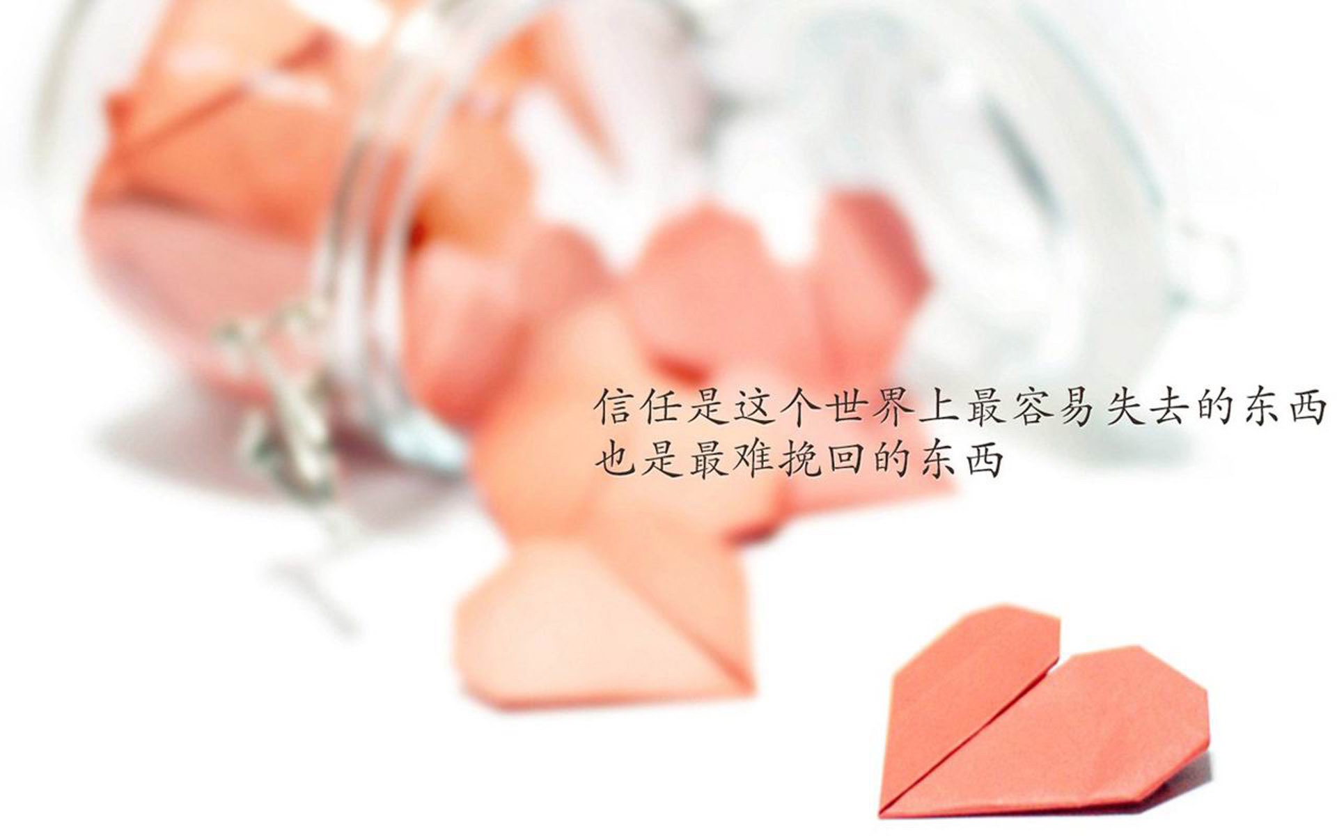 夺冠之路：冠军的成长历程纪录片，回顾夺冠