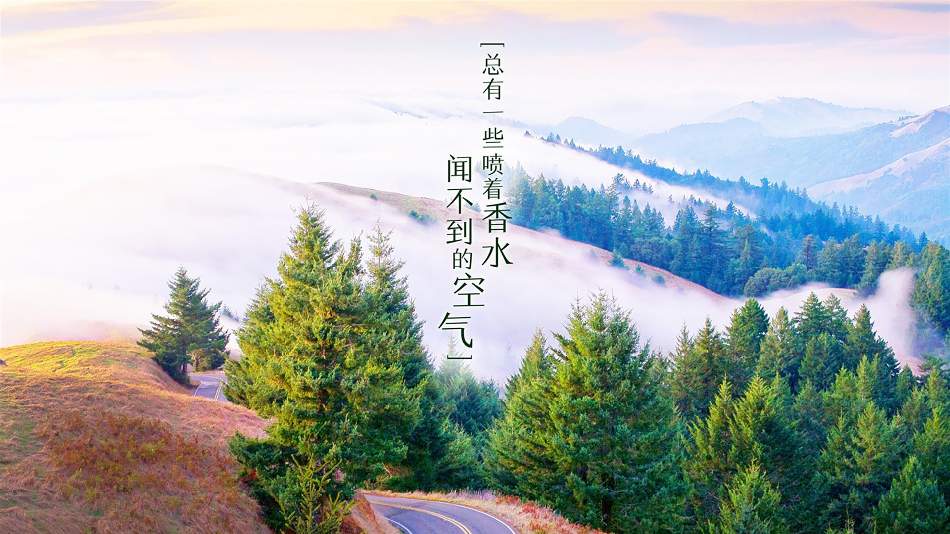 乐鱼电竞在线平台-足球赛事内容进入本地生活服务平台推荐位，足球赛事管理app
