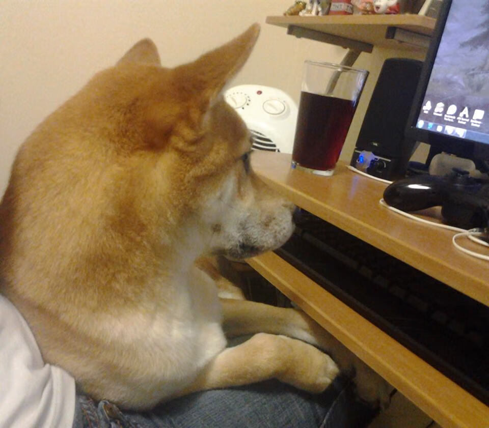 FaZe开启LOL直播系列挑战赛，英雄联盟faker直播