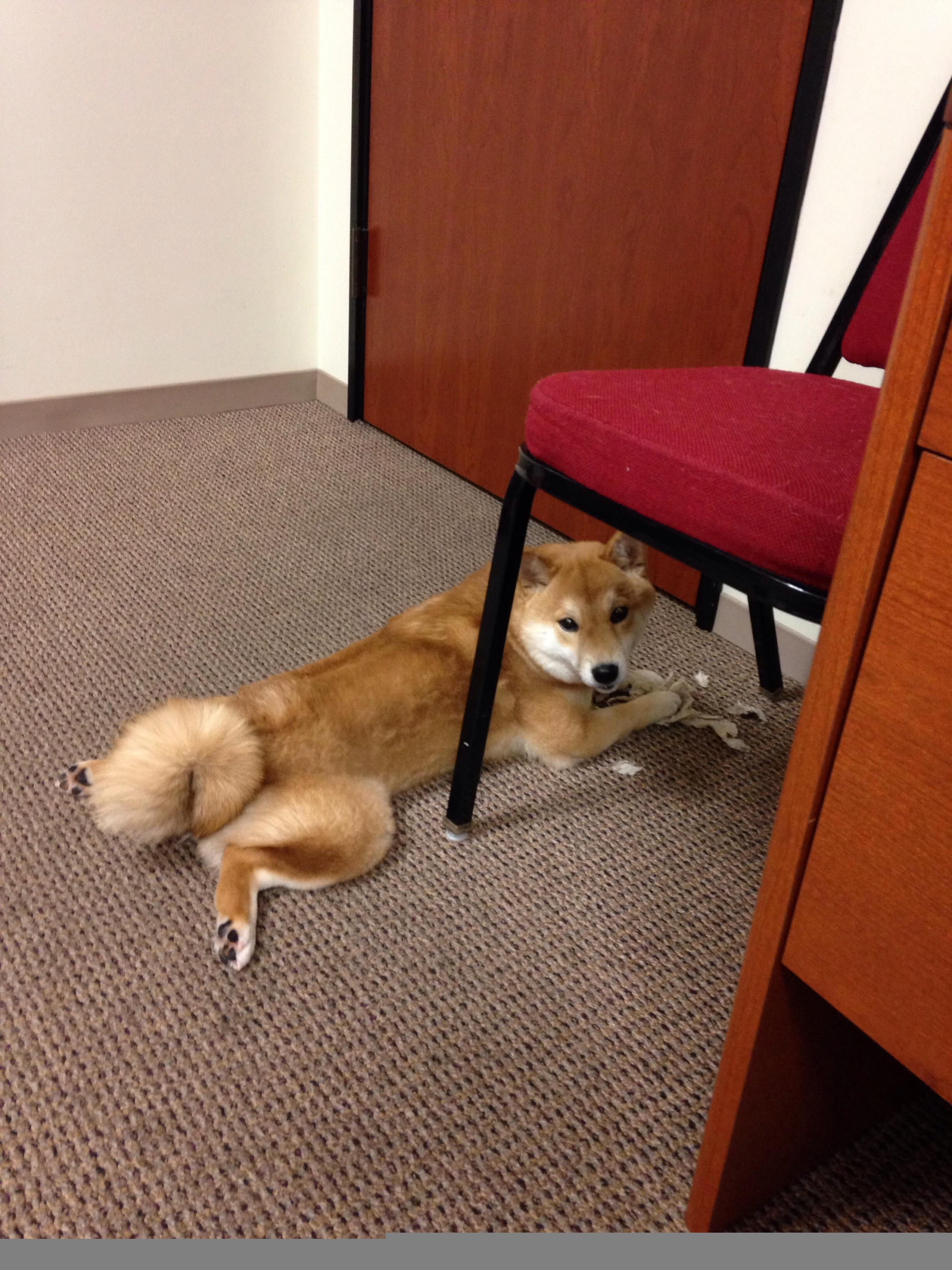 LEYU SPORTS中国官方网站-艾比·德尔福：防守中的战术大师，助力南非队始终保持稳压，艾比德什么意思