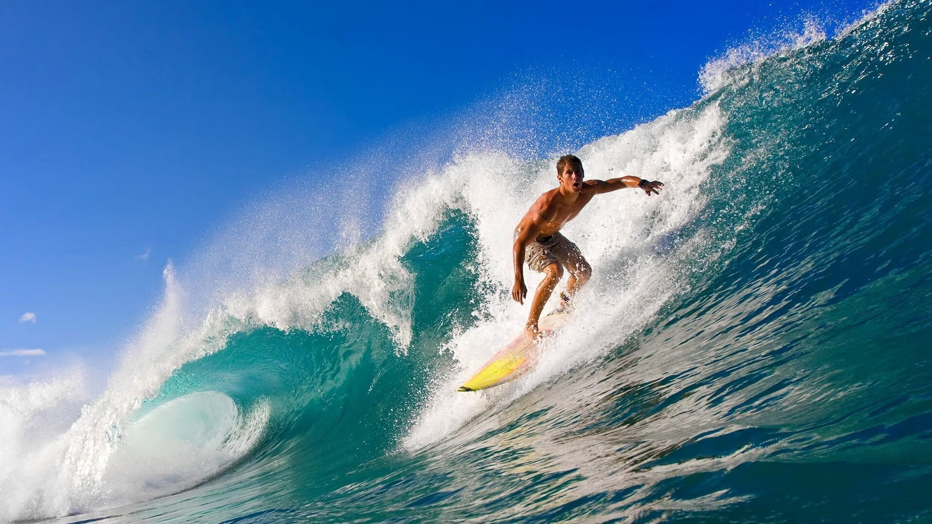 战术“秘密武器”:最令人惊叹的制胜奇招,战术武器有哪些